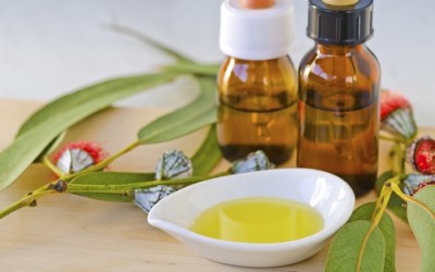 Olio essenziale eucalipto: proprietà e utilizzi - ricette-vegane-dal-web - eucalipto olio essenziale 400x250 - eucalipto olio essenziale 400x250 - Olio essenziale eucalipto: proprietà e utilizzi - ricette-vegane-dal-web-