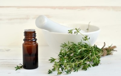 Olio essenziale di timo: proprietà e utilizzi - ricette-vegane-dal-web - olio essenziale di timo 400x250 1 - olio essenziale di timo 400x250 1 - Olio essenziale di timo: proprietà e utilizzi - ricette-vegane-dal-web-