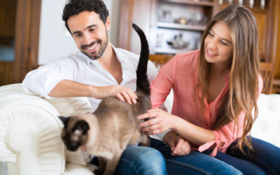 5 cose da sapere per chi vuole adottare un gatto - ricette-vegane-dal-web - shutterstock 323732354 e1444303243871 400x250 1 - shutterstock 323732354 e1444303243871 400x250 1 - 5 cose da sapere per chi vuole adottare un gatto - ricette-vegane-dal-web-