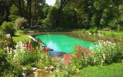 Biopiscine: arriva la piscina naturale che non contiene cloro - ricette-vegane-dal-web - biopiscine 400x250 1 - biopiscine 400x250 1 - Biopiscine: arriva la piscina naturale che non contiene cloro - ricette-vegane-dal-web-
