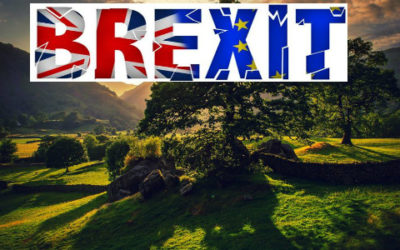 Brexit, cosa cambia dal punto di vista ambientale - ricette-vegane-dal-web - brexit 400x250 1 - brexit 400x250 1 - Brexit, cosa cambia dal punto di vista ambientale - ricette-vegane-dal-web-