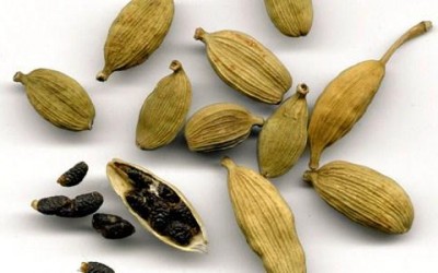 Cardamomo: proprietà, usi e ricette - ricette-vegane-dal-web - cardamomo 400x250 1 - cardamomo 400x250 1 - Cardamomo: proprietà, usi e ricette - ricette-vegane-dal-web-