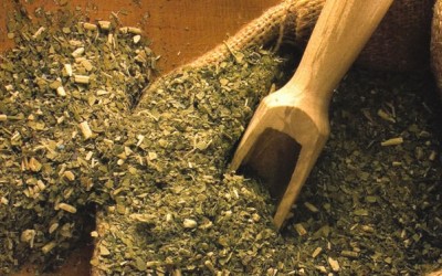 Bevande energetiche naturali: ricaricarsi in modo sano mate 400x250 1 - Bevande energetiche naturali: ricaricarsi in modo sano