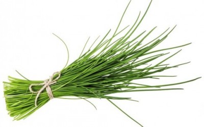 Erba cipollina: proprietà e benefici shutterstock 1337482431 e1412433223216 400x250 1 - Erba cipollina: proprietà e benefici