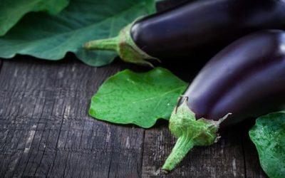 Ricette con melanzane: facili, gustose e veloci - ricette-vegane-dal-web - 8d35c1c83e028c73a7d1fc9889e6ca21 400x250 1 - 8d35c1c83e028c73a7d1fc9889e6ca21 400x250 1 - Ricette con melanzane: facili, gustose e veloci - ricette-vegane-dal-web-