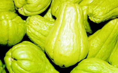 Chayote proprietà e ricette di questo strano frutto - ricette-vegane-dal-web - Chayote e1429716354872 400x250 1 - Chayote e1429716354872 400x250 1 - Chayote proprietà e ricette di questo strano frutto - ricette-vegane-dal-web-