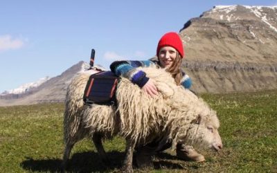 Sheep view, ovvero le isole Far Oer viste dalle pecore - ricette-vegane-dal-web - SheepView360 FaroeIslands 2 1.jpg.838x0 q80 e1470502864684 400x250 1 - SheepView360 FaroeIslands 2 1.jpg.838x0 q80 e1470502864684 400x250 1 - Sheep view, ovvero le isole Far Oer viste dalle pecore - ricette-vegane-dal-web-
