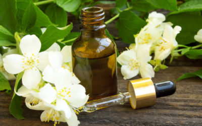 Olio essenziale gelsomino: proprietà e utilizzi - ricette-vegane-dal-web - jasmine oilflo 500x333 1 e1470568017461 400x250 1 - jasmine oilflo 500x333 1 e1470568017461 400x250 1 - Olio essenziale gelsomino: proprietà e utilizzi - ricette-vegane-dal-web-