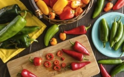 Ricette con peperoni: pasta e secondi piatti - ricette-vegane-dal-web - peperone 400x250 1 - peperone 400x250 1 - Ricette con peperoni: pasta e secondi piatti - ricette-vegane-dal-web-