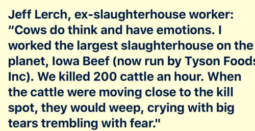 www.vegansociety.com tumblr oc1wzkAOQs1tqolo9o1 500 1 - www.vegansociety.com