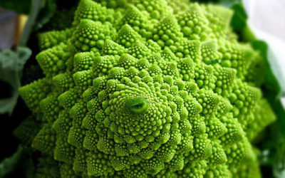 Cavolo romano: proprietà, benefici e ricette - ricette-vegane-dal-web - 5377969184 d9ca39ca21 e1470566839170 400x250 1 - 5377969184 d9ca39ca21 e1470566839170 400x250 1 - Cavolo romano: proprietà, benefici e ricette - ricette-vegane-dal-web-