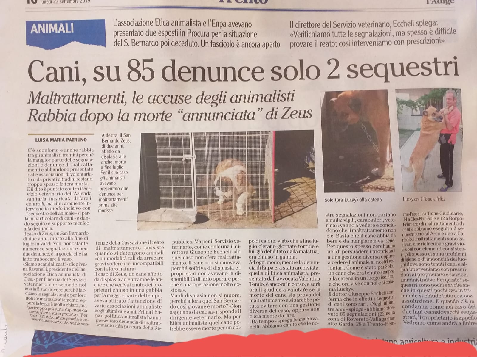 Cani maltrattati, solo 2 sequestri su 85 segnalazioni (L'Adige) WhatsApp Image 2019 09 23 at 14.19.13