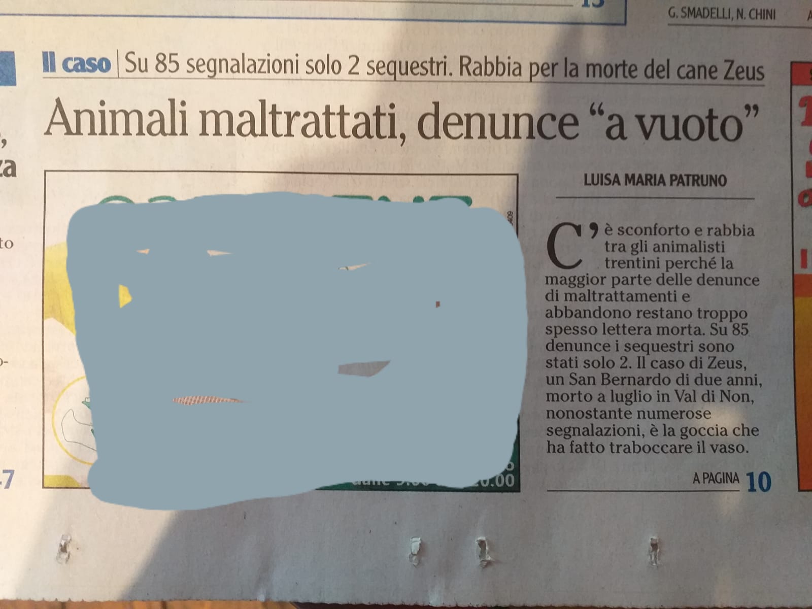 Cani maltrattati, solo 2 sequestri su 85 segnalazioni (L'Adige) WhatsApp Image 2019 09 23 at 14.19.14